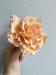 Sugar flower- peach open rose by Ceri Olofson